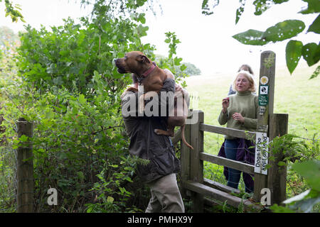 A dog owner carries his pet over a countryside stile, on 10th September 2018, near Lingen, Herefordshire, England UK. Stock Photo