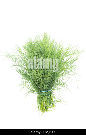 Dill grown in the UK and bought from a supermarket. Photographed on a white background. Dorset England UK GB. Stock Photo