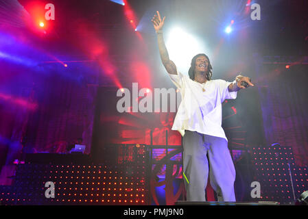 Wiz Khalifa and Rae Sremmurd perform on stage at Perfect Vodka Amphitheater  Featuring: Wiz Khalifa Where: Tamarac, Florida, United States When: 17 Aug 2018 Credit: JLN Photography/WENN.com Stock Photo