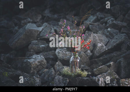 Freshly picked branches of wild blueberries and blossom heather in glass bottle on scenic rocky background of British upland in Shropshire Hills,UK Stock Photo