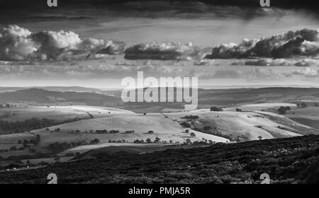 View over scenic countryside green hills from upland covered in blossom heather. Stiperstones, Shropshire Hills in United Kingdom. Black and white edi Stock Photo