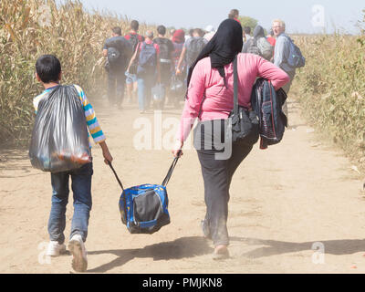 TOVARNIK, CROATIA - SEPTEMBER 19, 2015: Refugees walking through the fields near the Croatia Serbia border, between the cities of Sid Tovarnik on the  Stock Photo