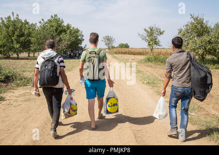 TOVARNIK, CROATIA - SEPTEMBER 19, 2015: Refugees walking through the fields near the Croatia Serbia border, between the cities of Sid Tovarnik on the  Stock Photo