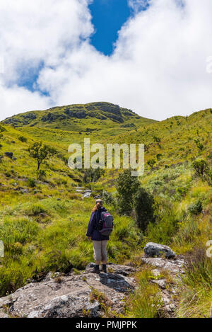 A hiker climbs the slopes of Mt Inyangani in bad weather, Nyanga ...