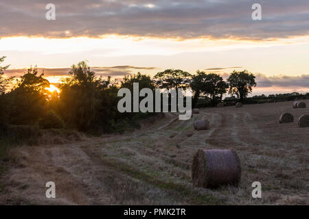 Hay bales at sunset in a field with setting sun on horizon piercing light through hedges in County Down, N.Ireland. Stock Photo