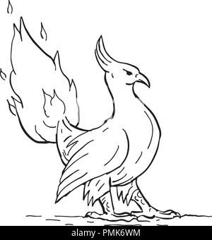 Drawing sketch style illustration of a a phoenix, in Greek mythology, a long-lived bird that cyclically regenerates obtaining new life by rising from  Stock Vector