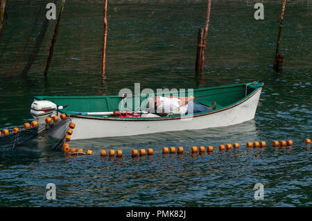 Pulling on a seine in a herring weir, Grand Manan Island. Bay of Fundy, New Brunswick, Canada. Stock Photo