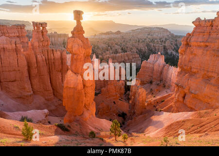 Thor's Hammer glowing in the morning light, Bryce Canyon National Park Stock Photo