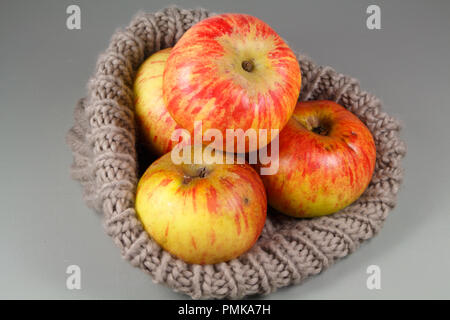 Yellow and red apples in a beige beanie after harvest Stock Photo