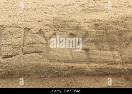 Nature background, texture of a sandstone wall graffiti hieroglyphs carved defaced wall at Grandview beach in Encintas California Stock Photo