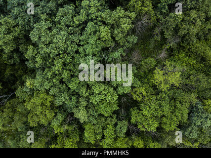 Aerial Phography Stock Photo