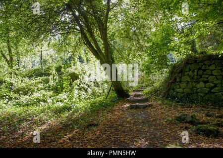 a stone wall in the middle of nowhere Stock Photo