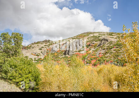 High in the Uinta Mountains the leaves are turning from green to yellow, orange, and red.  The clouds are fluffy and white against a blue sky. Stock Photo