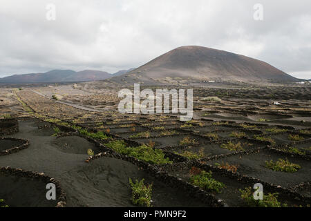 The unique black moon-like landscape and wine growing region of volcanic Lanzarote in the Canary Islands Stock Photo