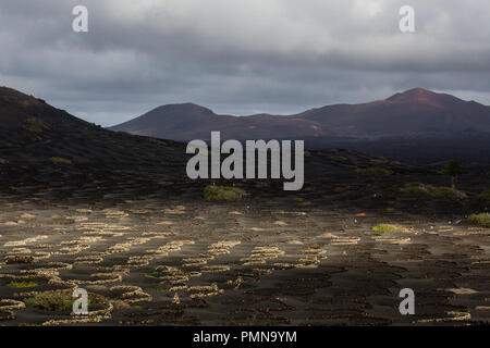 The unique black moon-like landscape and wine growing region of volcanic Lanzarote in the Canary Islands Stock Photo