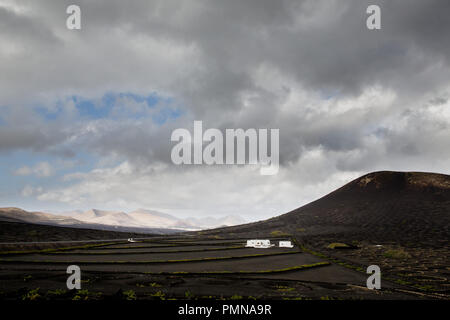 The unique black moon-like landscape and wine growing region of volcanic Lanzarote in the Canary Islands Stock Photo