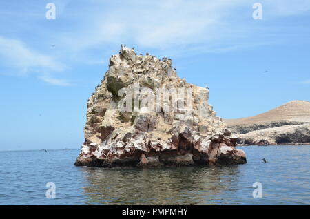Wild birds on small rocky island which is one of Ballestas Islands on Pacific Ocean near to city Paracas in Peru. Stock Photo