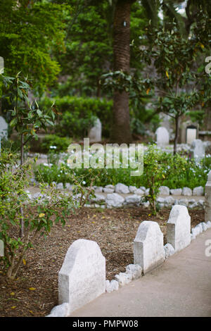 Gravestones in Trafalgar Cemetery in Gibraltar Stock Photo