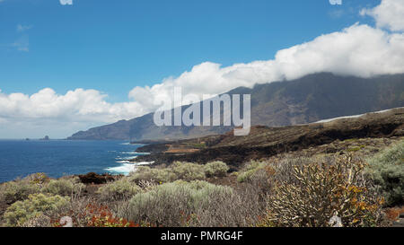 Coastal views towards the northern part of the island, with focus on the endemic flora, on the walking route to Charco Azul, El Hierro, Canary Islands Stock Photo