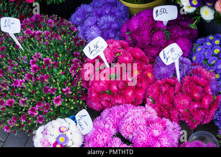Different autumn flowers on sale on central market in bouquets with prices Stock Photo