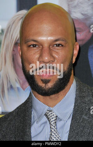 Common at the 'Movie 43' Premiere held at the Grauman's Chinese Theater in Hollywood, CA.The event took place on Wednesday, January 23, 2013. Photo by PRPP / PictureLux   File Reference # 31814 036PRPP  For Editorial Use Only -  All Rights Reserved Stock Photo