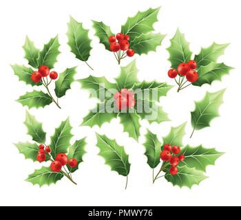 Christmas holly branches realistic illustrations set Stock Vector