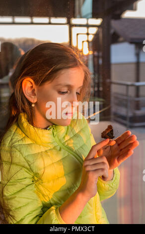 Curious girl watching butterfly on finger Stock Photo