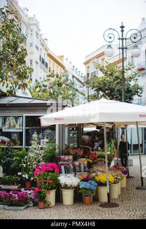 Detail of a flower stall in the street market of Plaza de las Flores (Flowers Square) in Cadiz, Spain Stock Photo