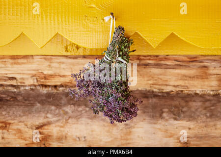 Herbaceous plants - oregano dried on rope Stock Photo