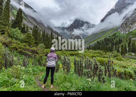 Ala-Kol Trek that departs in the Karabel-Tor mountains that erupt to the southeast beyond Karakol in Kyrgyzstan’s far east. Stock Photo