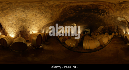 360 degree panoramic view of Wine Cellar - in the Middle - Barrique Barrels - Deidesheim - Palatine - German Wine Street