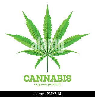 Cannabis or Marijuana Leaf Emblem Isolated on White. Vector Illustration. Organic Product. Stock Vector