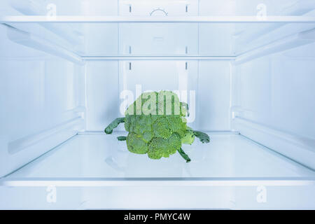 one ripe tasty broccoli in fridge Stock Photo