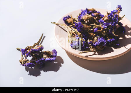 Dried blue mallow flowers hi-res stock photography and images - Alamy