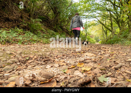 Walkers enjoying Nicky nook a small fell just outside Scorton in the
