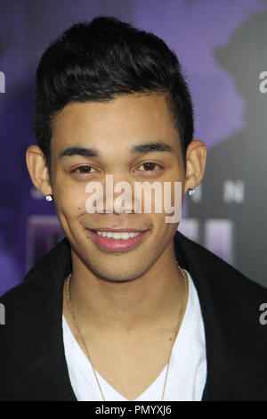 Roshon Fegan at Justin Bieber's Believe World Premiere held at the