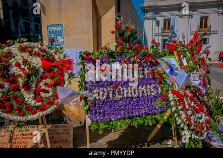 SANTIAGO, CHILE - SEPTEMBER 13, 2018: Outdoor view of bunch of flowers in front of the Monument to Salvador Allende Gossens in Santiago de Chile Stock Photo