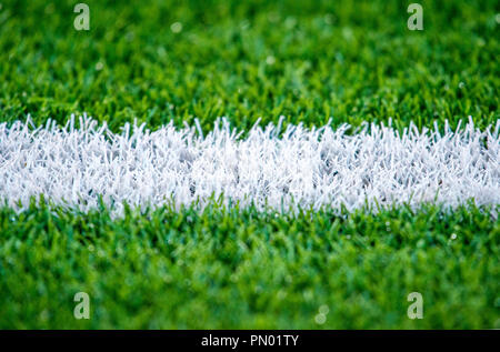 Green grass soccer field close-up background. Stock Photo