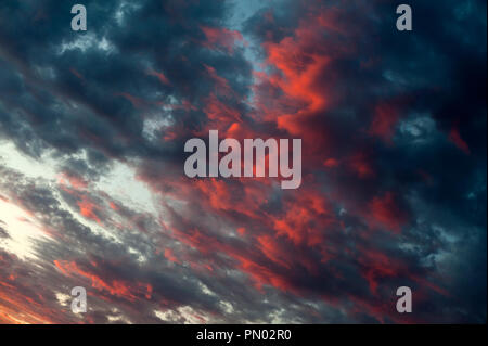 Altocumulus perlucidus clouds dramatic sunset. Stock Photo