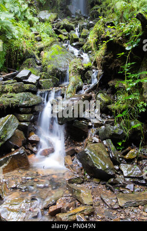 Melincourt Waterfall Stock Photo