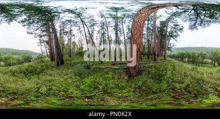 360 degree panoramic view of Taiga