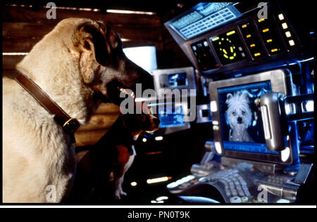 Lou Cats And Dogs 2001 Stock Photo 240970659 Alamy