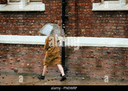 Looking through a raindrop covered window at a woman caught in heavy autumn rain shower with an umbrella. Stock Photo