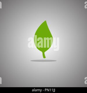 Birch leaf green. Vector illustration. Gray background with gradient. Stock Vector