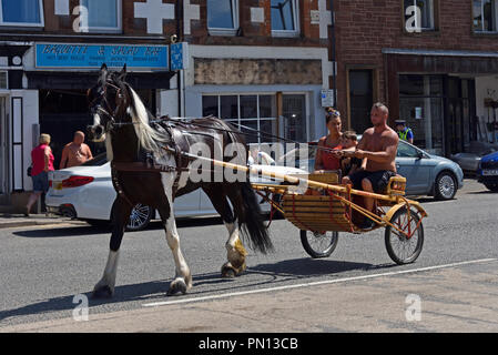 Gypsy Traveller family riding in a trotting cart. Appleby Horse Fair 2018. The Sands, Appleby-in-Westmorland, Cumbria, England, United Kingdom, Europe Stock Photo