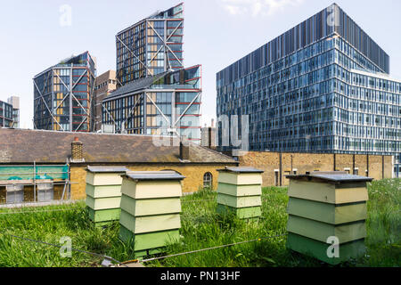 Urban bee hives on a rooftop at Bankside, South London. Stock Photo