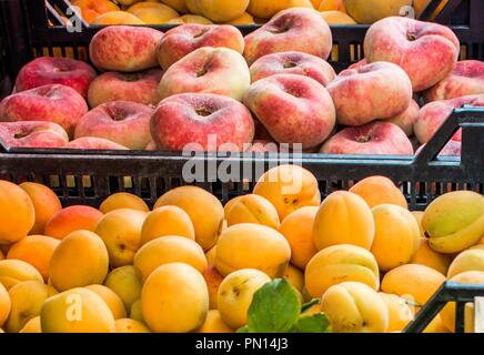 Fresh ripe red donut peaches and big yellow apricots in plastic boxes at street fruit market in Italy, Sorrento in Summer. Food background from above Stock Photo