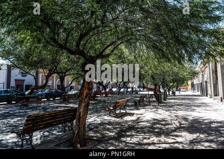 Plaza hidalgo. Centro histórico de Hermosillo, Sonora. (Photo: Luis Gutierrez /NortePhoto)   pclaves: Fachada, outdoors, casa, antiguo, , arquitectura Stock Photo