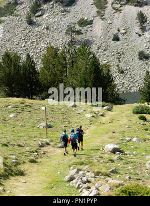 Three hikers pass near a sign post in the forest. Stock Photo