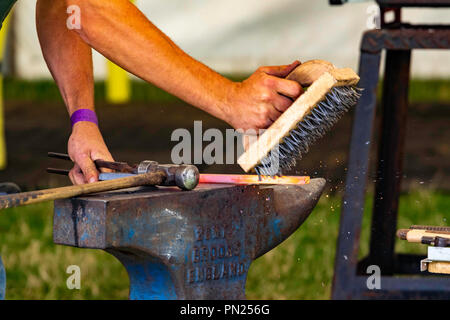 Chatsworth House activities including working gundogs and country show events and displays Stock Photo